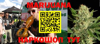 индика Будённовск