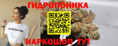 индика Будённовск