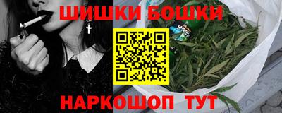 индика Будённовск