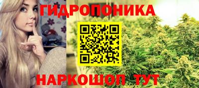 индика Будённовск