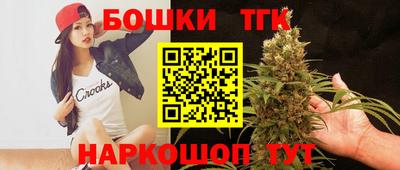 индика Будённовск